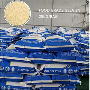 Food Additives High Quality Good Price for Food CAS 9000-70-8 gelatin